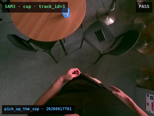 Auto-label object mask with track ID and a QC verdict